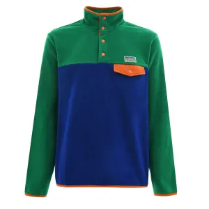 Polo Ralph Lauren Colour-Blocked Brushed Fleece Pullover Primary Green Multi