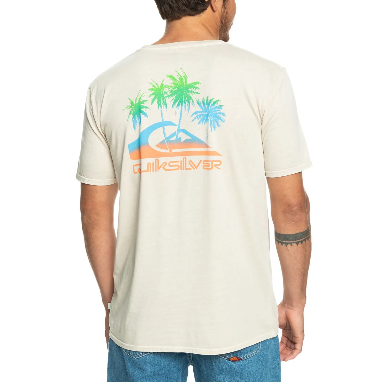 Quiksilver Mens Passtime Paradise Short Sleeve T-Shirt