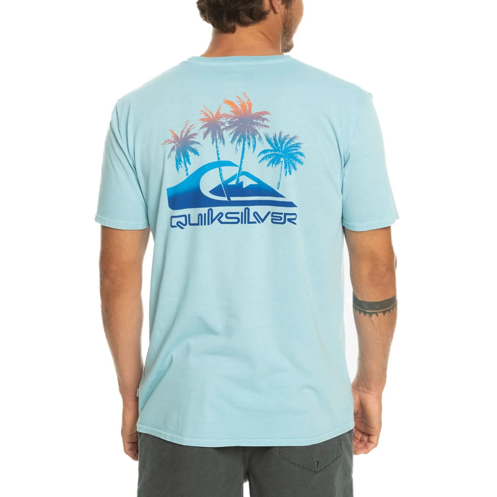 Quiksilver Mens Passtime Paradise Short Sleeve T-Shirt