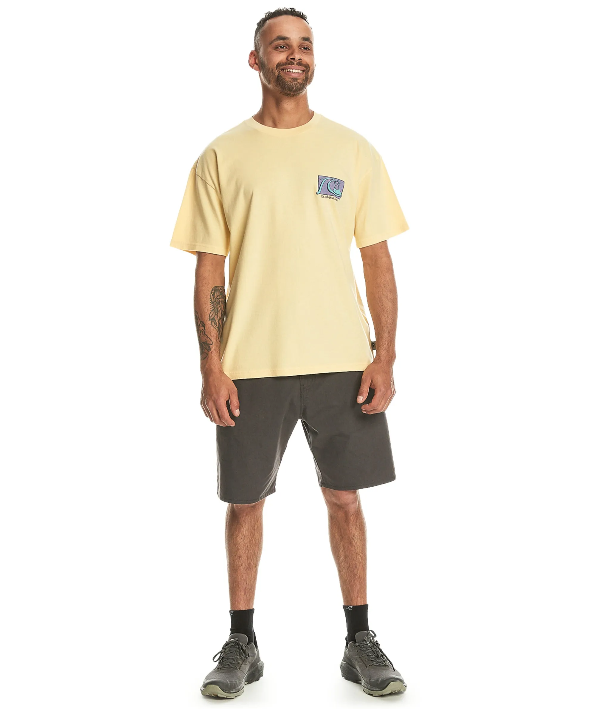 Quiksilver Mens Take Us Back Short Sleeve Oversized T-Shirt