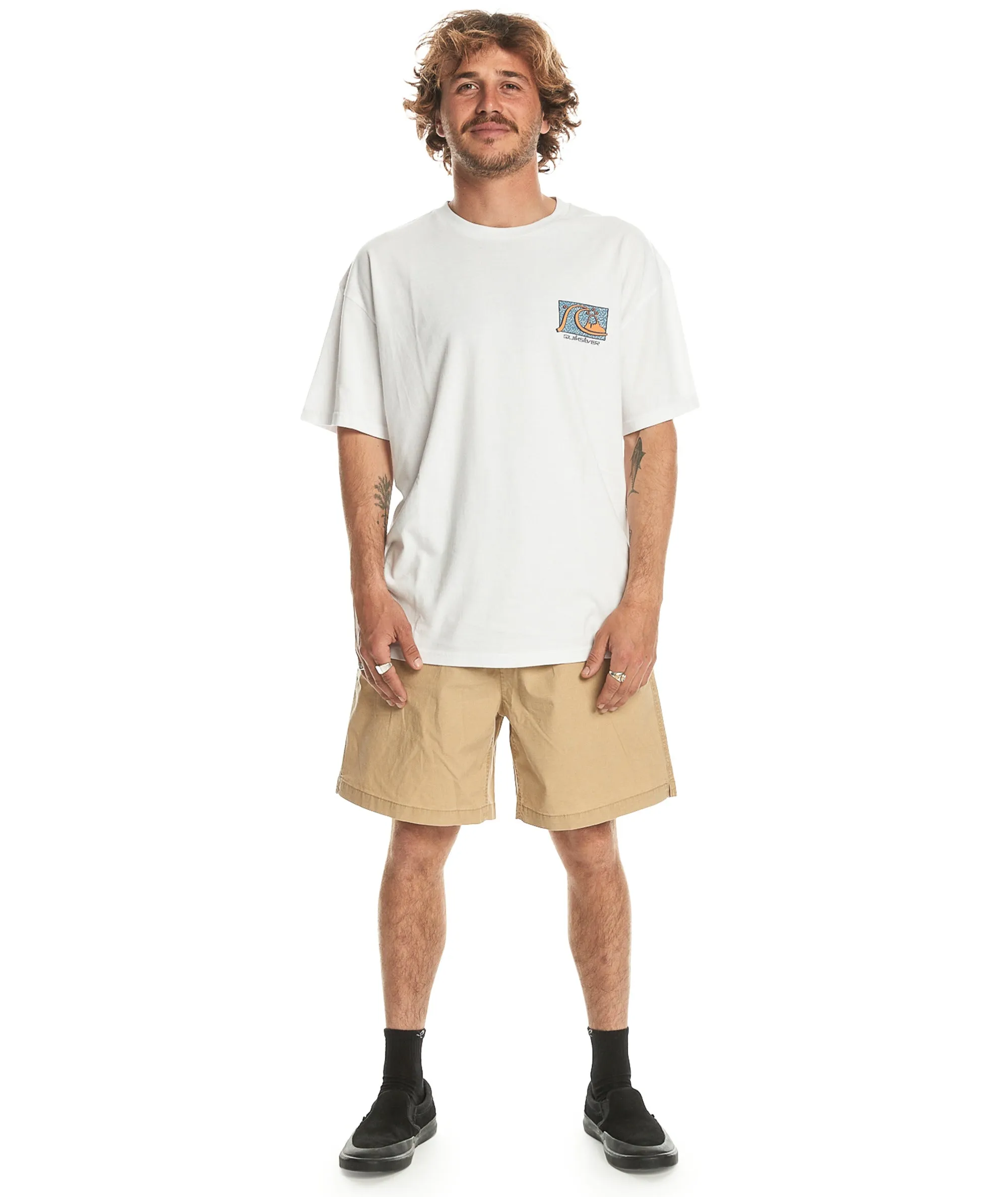 Quiksilver Mens Take Us Back Short Sleeve Oversized T-Shirt