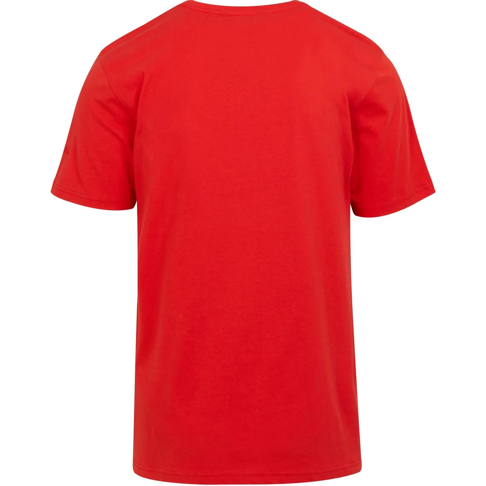 Regatta Mens Cline VIII Short Sleeve T-Shirt