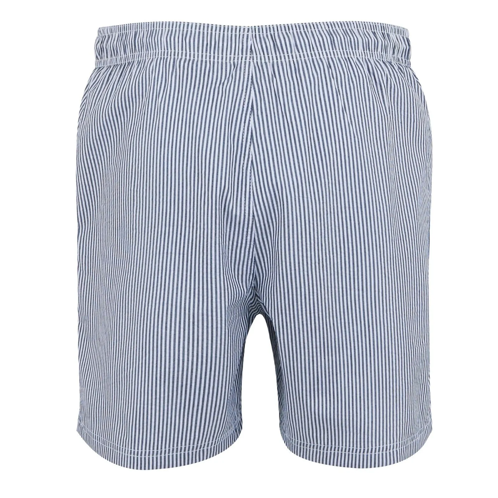 Regatta Mens Loras Swim Shorts