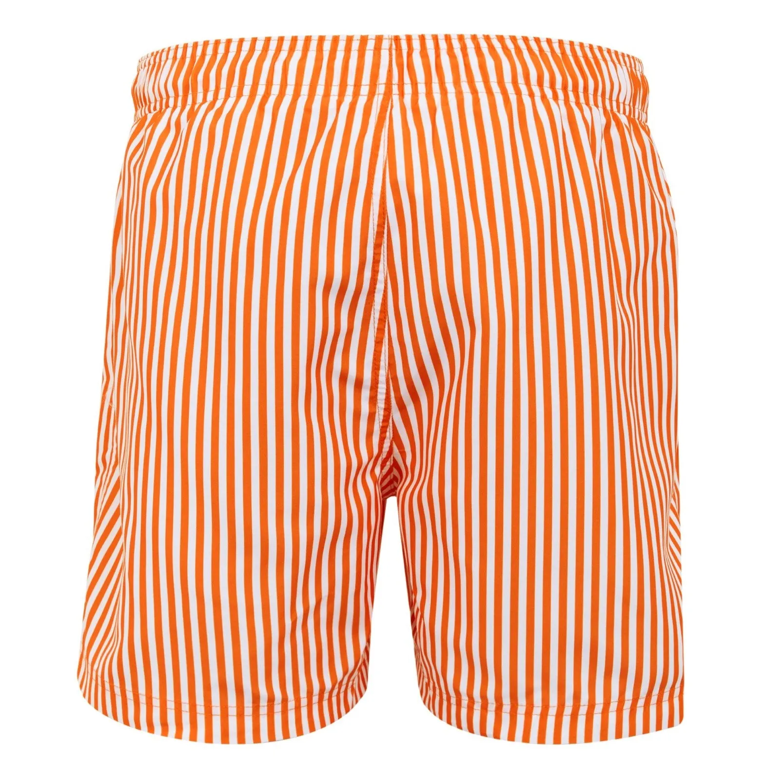 Regatta Mens Loras Swim Shorts