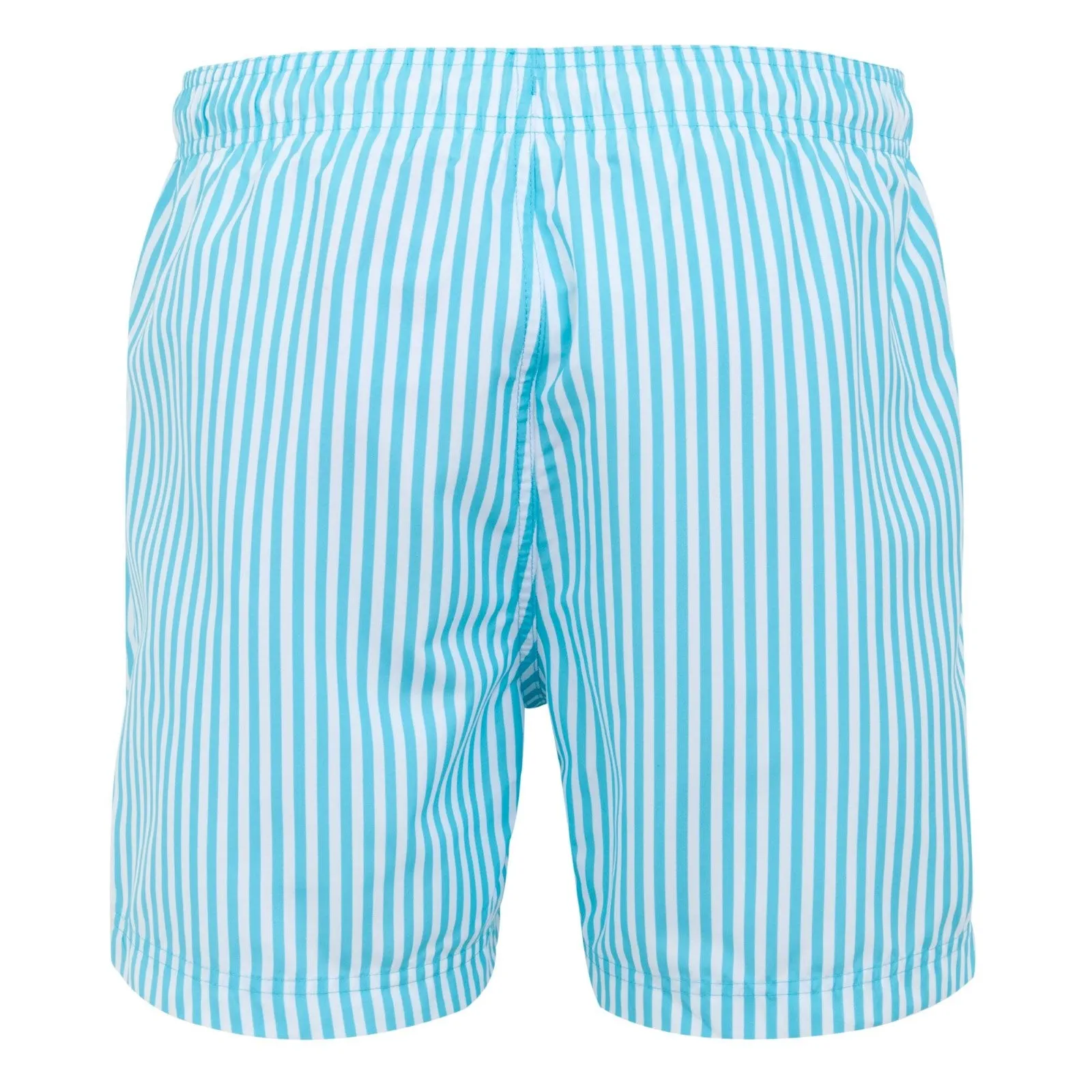 Regatta Mens Loras Swim Shorts