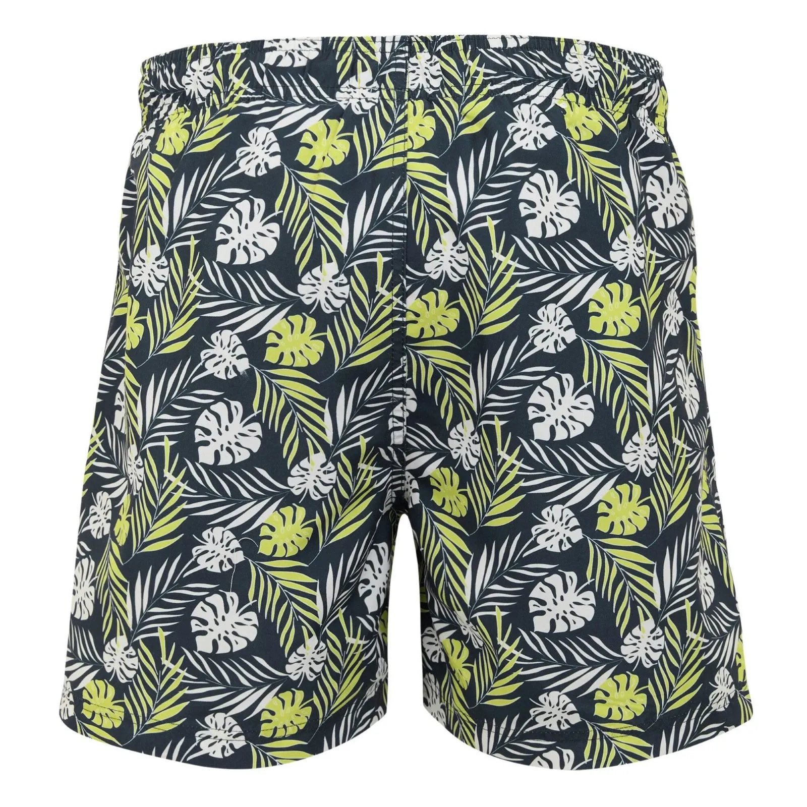Regatta Mens Loras Swim Shorts