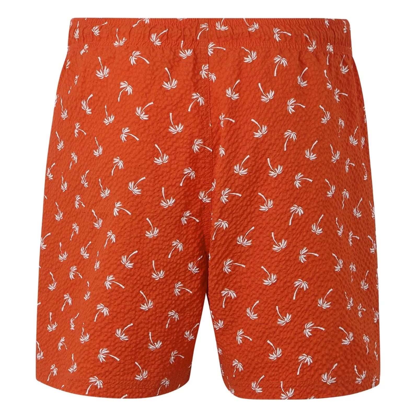 Regatta Mens Loras Swim Shorts